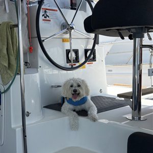 Benny